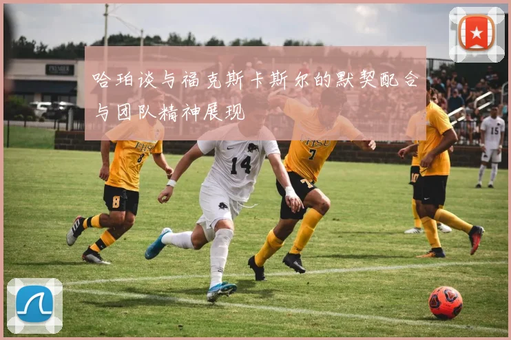 哈珀谈与福克斯卡斯尔的默契配合与团队精神展现