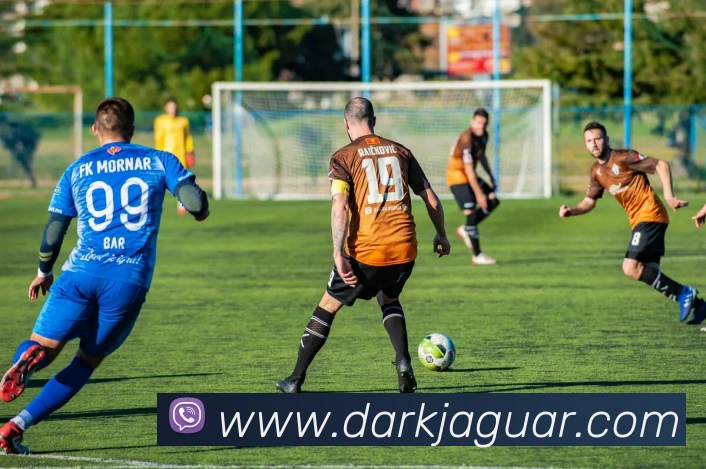 未来规划